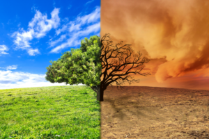Climate Change Solutions 2026