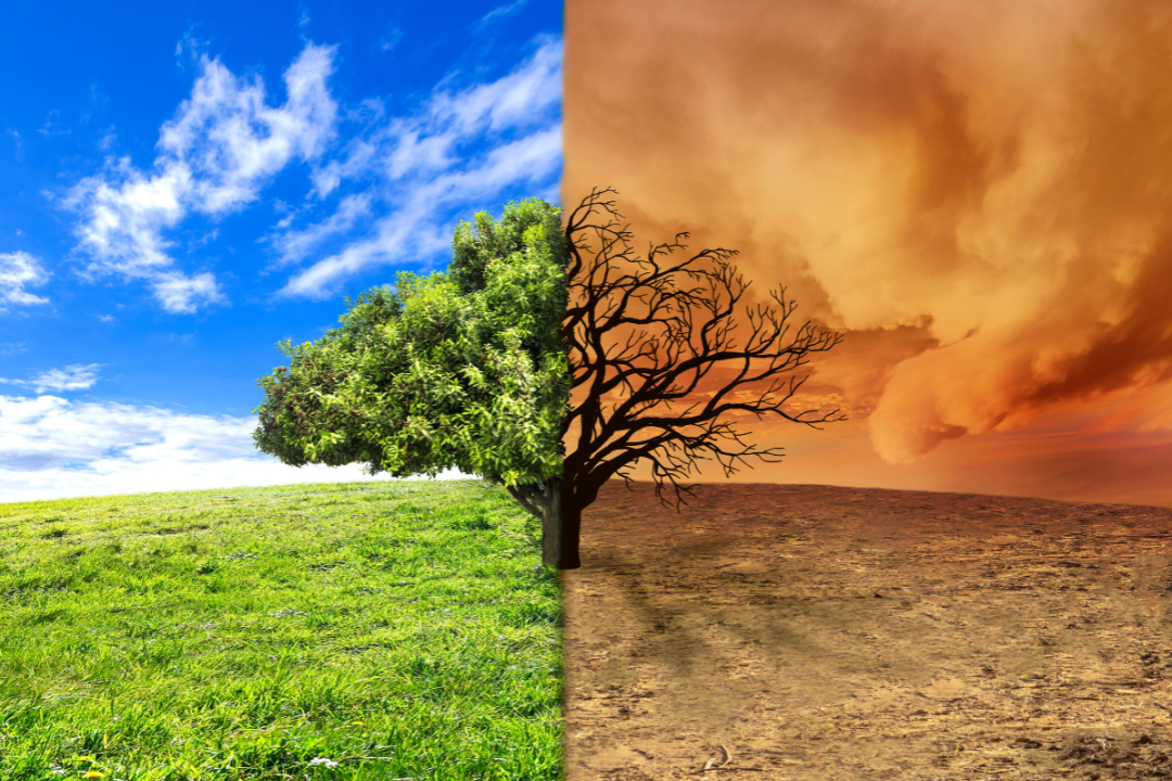 Climate Change Solutions 2026